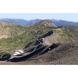 Bonette