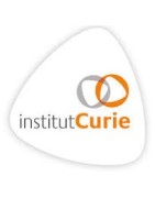 Dons Institut Curie